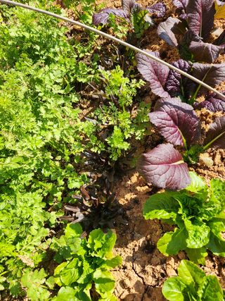 최승일님의 자유주제 · 자유게시판 작성글 사진