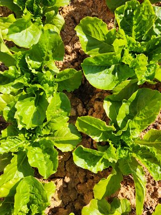 최승일님의 자유주제 · 자유게시판 작성글 사진