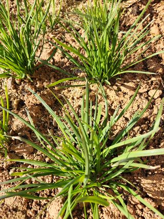 최승일님의 자유주제 · 자유게시판 작성글 사진