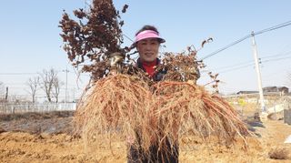 단삼님의 작성글 사진