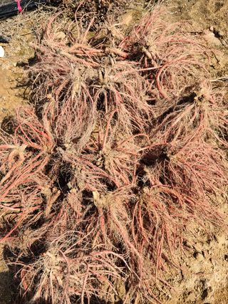 단삼님의 작성글 사진