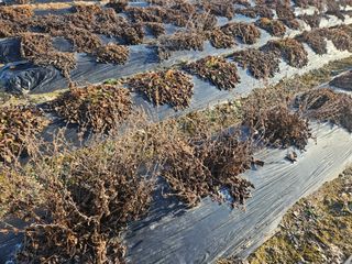 단삼님의 작성글 사진
