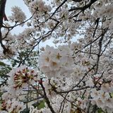 팜모닝 자유주제·자유게시판 게시글 이미지