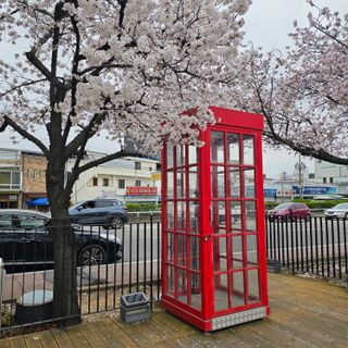 늘푸름(심영보)님의 자유주제 · 자유게시판 작성글 사진
