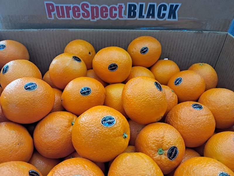 장터 상품 [[판매중단] 새콤달콤 고당도 오렌지 28과 ㅡ무료배송 ] 썸네일