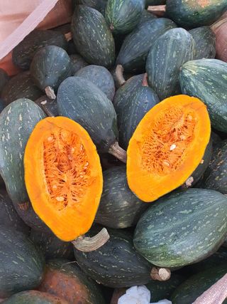 김철현님의 작성글 사진