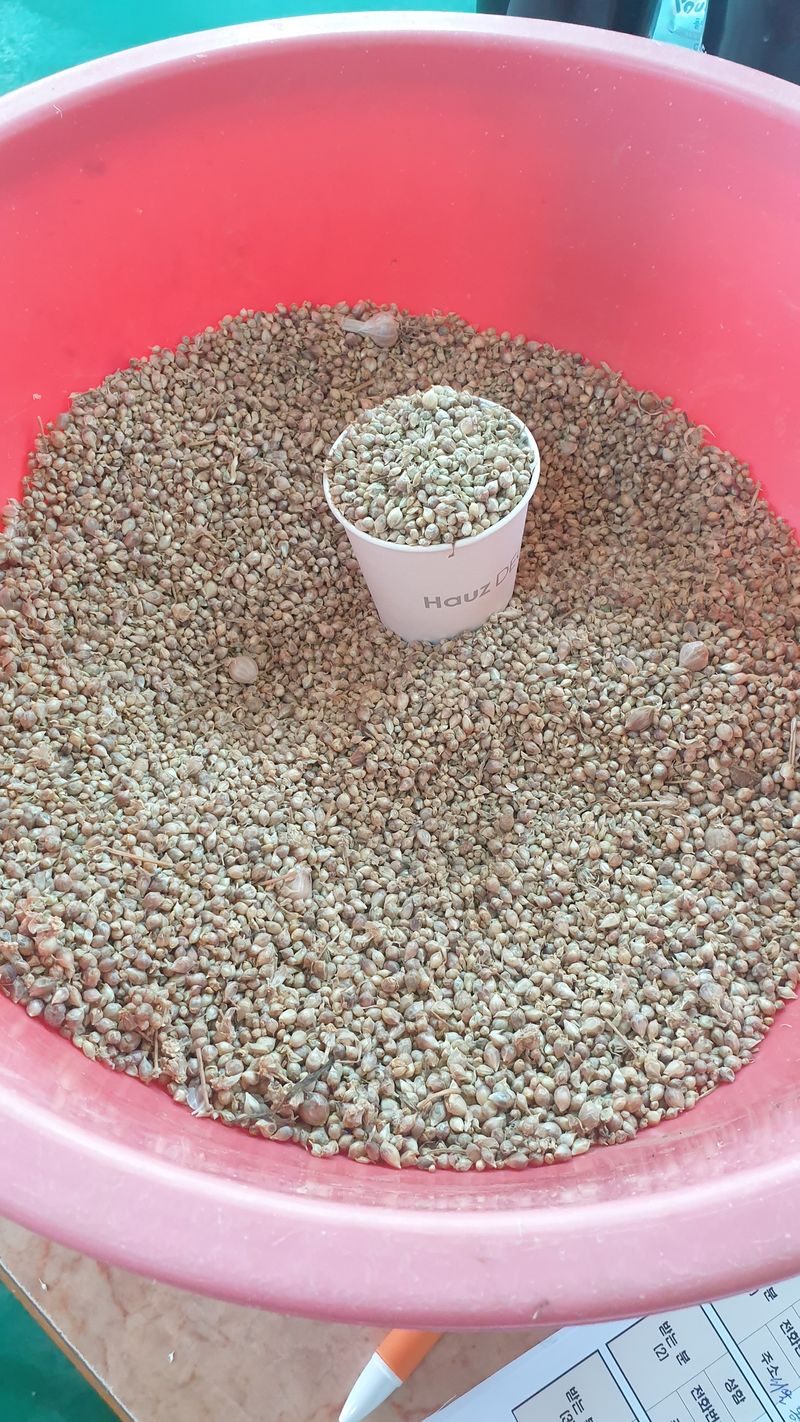 장터 상품 [달랭이씨앗] 썸네일