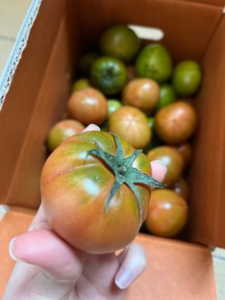 한라이님의 장터이야기 · 장터후기 작성글 사진