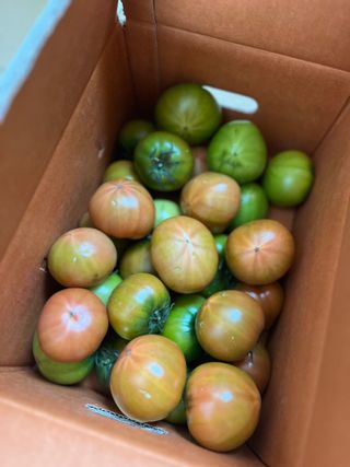 한라이님의 장터이야기 · 장터후기 작성글 사진