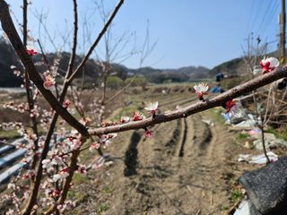 김용석님의 자유주제 · 자유게시판 작성글 사진