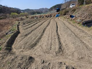 김용석님의 자유주제 · 자유게시판 작성글 사진