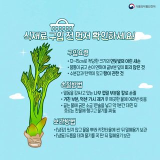 주대성님의 두릅 · 수확 작성글 사진