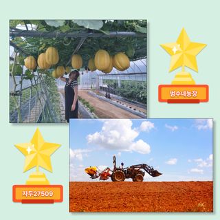 팜모닝님의 팜모닝공식 · 혜택 작성글 사진