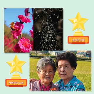 팜모닝님의 팜모닝공식 · 혜택 작성글 사진