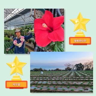 팜모닝님의 팜모닝공식 · 혜택 작성글 사진