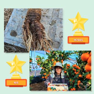 팜모닝님의 팜모닝공식 · 혜택 작성글 사진