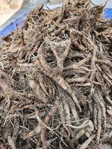 팜모닝 · 게시글 이미지