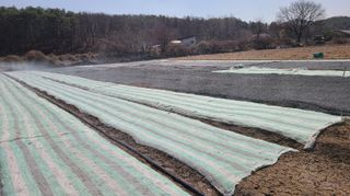 조병대님의 기타작물 · 자유게시판 작성글 사진