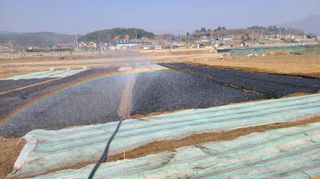 조병대님의 기타작물 · 자유게시판 작성글 사진