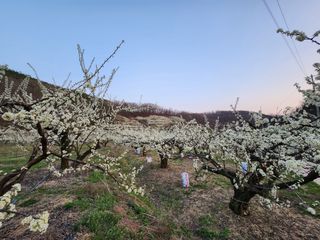 오토산농장님의 자유주제 · 자유게시판 작성글 사진