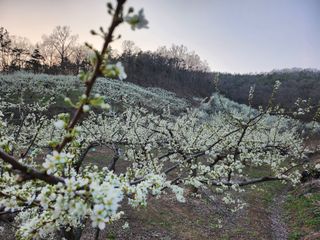 오토산농장님의 자유주제 · 자유게시판 작성글 사진