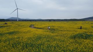 최현자님의 자유주제 · 자유게시판 작성글 사진