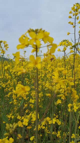 최현자님의 자유주제 · 자유게시판 작성글 사진