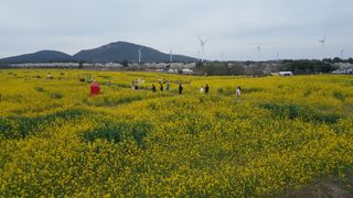 최현자님의 자유주제 · 자유게시판 작성글 사진