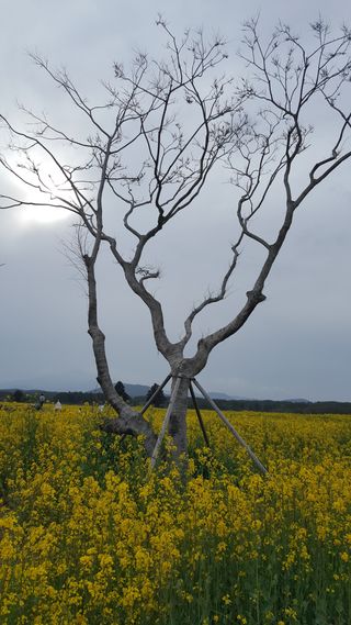최현자님의 자유주제 · 자유게시판 작성글 사진