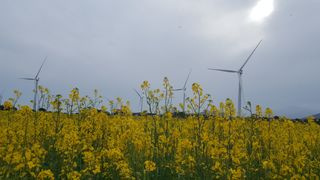 최현자님의 자유주제 · 자유게시판 작성글 사진