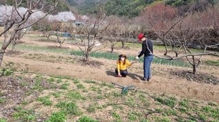 향양농장 사랑합니다님의 콩 · 자유게시판 작성글 사진