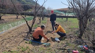 향양농장 사랑합니다님의 콩 · 자유게시판 작성글 사진