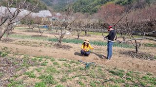 향양농장 사랑합니다님의 콩 · 자유게시판 작성글 사진