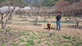 향양농장 사랑합니다님의 콩 · 자유게시판 작성글 사진