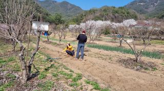 향양농장 사랑합니다님의 콩 · 자유게시판 작성글 사진