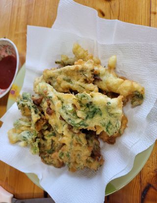 농사꾼 단비님의 자유주제 · 자유게시판 작성글 사진