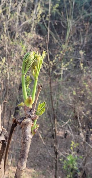 농사꾼 단비님의 자유주제 · 자유게시판 작성글 사진