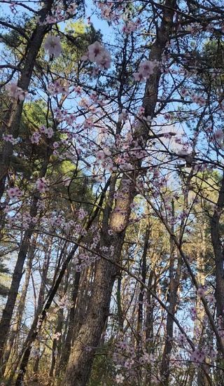 농사꾼 단비님의 자유주제 · 자유게시판 작성글 사진