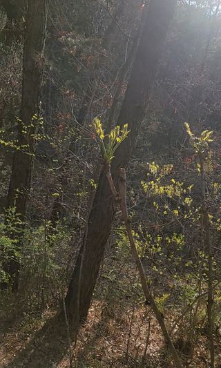 농사꾼 단비님의 자유주제 · 자유게시판 작성글 사진