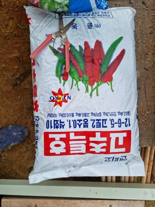 힐링농장님의 고추 · 토양준비 작성글 사진