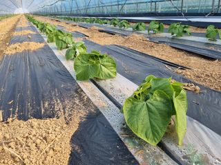 용균님의 콩 · 자유게시판 작성글 사진