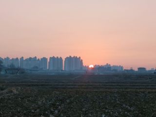 로만아빠님의 감자 · 자유게시판 작성글 사진