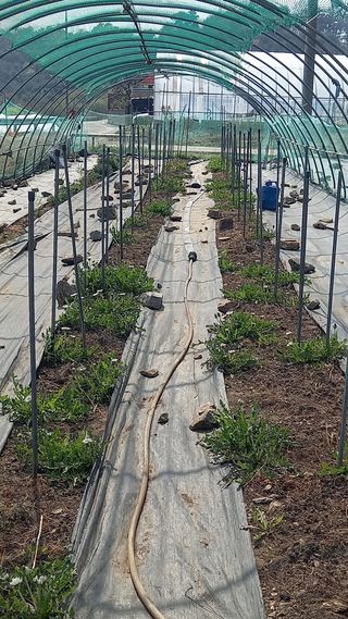 박신영님의 작성글 사진