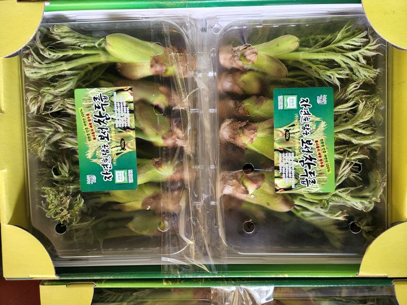 농업회사법인 진향님의 장터 판매 상품 [두릅 판매 첫순 참두릅1Kg 국산

] 첨부 사진