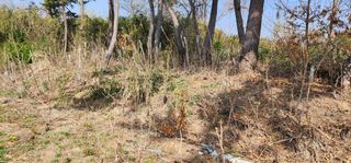 김우진님의 작성글 사진