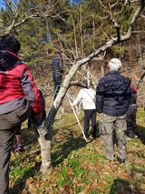 팜모닝 감·병해충상담 게시글 이미지