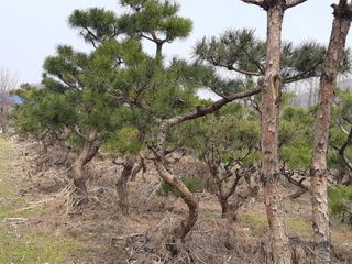 자부님의 자유주제 · 자유게시판 작성글 사진
