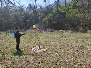 최군환님의 기타작물 · 자유게시판 작성글 사진