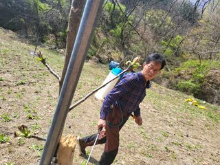 최군환님의 기타작물 · 자유게시판 작성글 사진