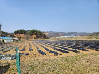 HYUN님의 참깨 · 자유게시판 작성글 사진